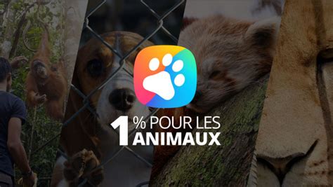zolux news|Zolux .